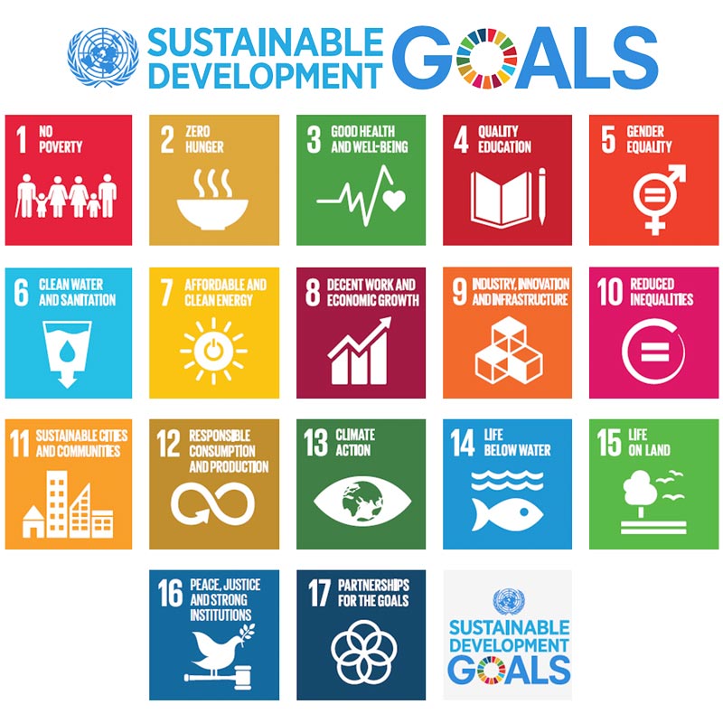 Sustainable_Development_Goals-4_0